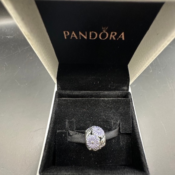 PANDORA charms authentic - Picture 6 of 9